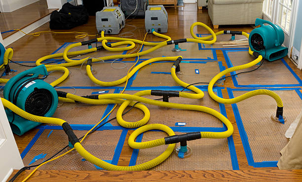 Professional Crawl Space Water Removal technician working in Tarpley, TX